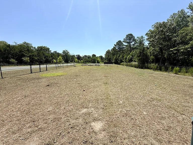 3312dogpark_07062026