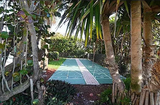 Shuffleboard