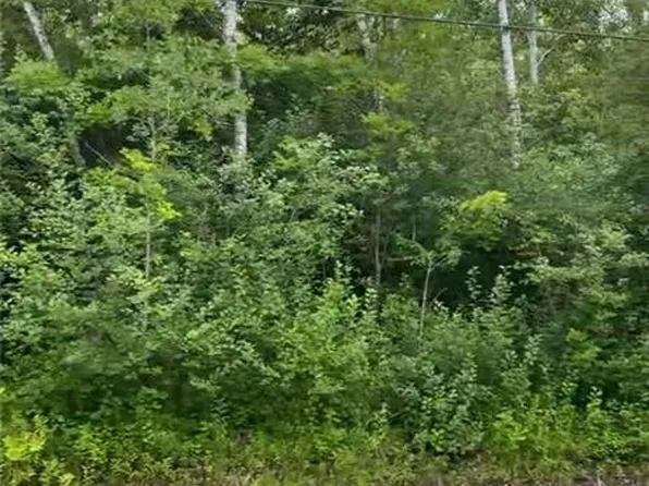 663 S Schwamberger Rd, Swanton, OH 43558