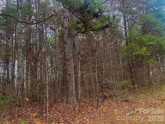 2nd image of 302 Lewis Ferry Rd