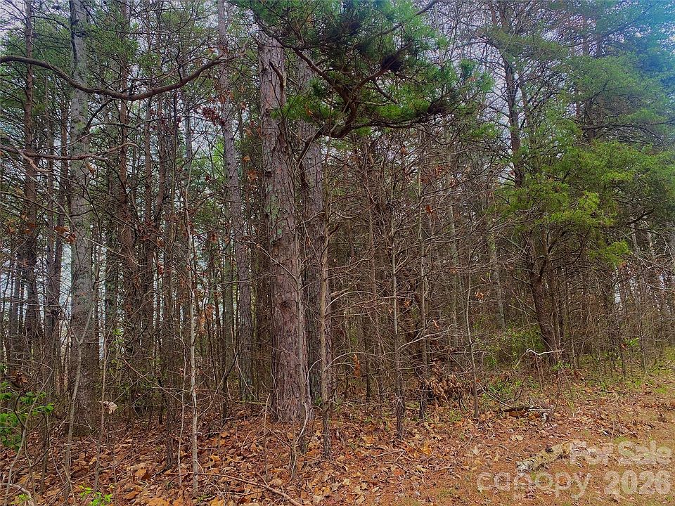 2nd image of 302 Lewis Ferry Rd