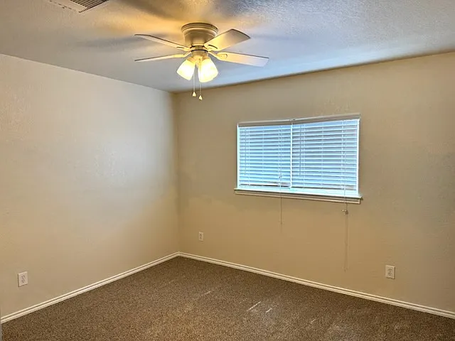 4323 Palm Point — Photo 11