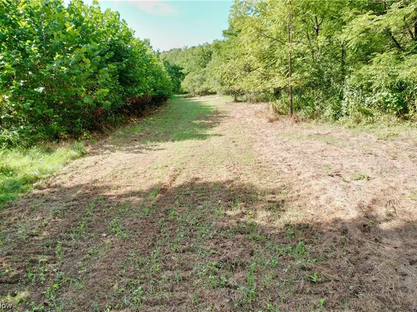 Fogle Rd, Caldwell, OH 43724