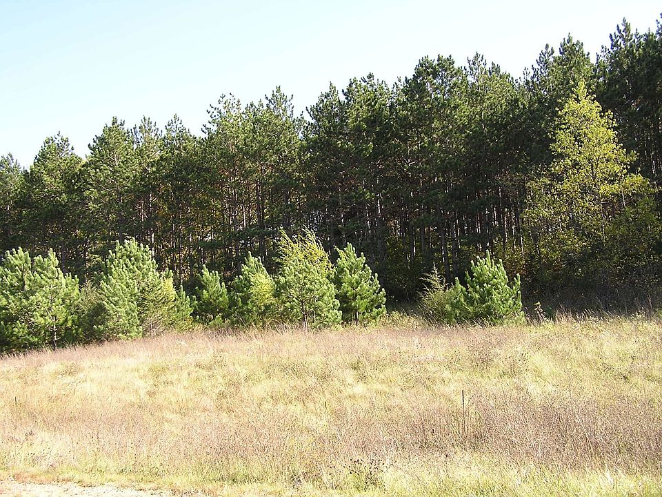 2nd image of 671 Pine Timber Ln