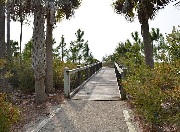 Boardwalks extend from the p
