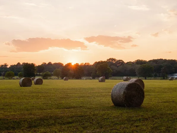 0 Gilliam Rd, Gurley, AL 35748