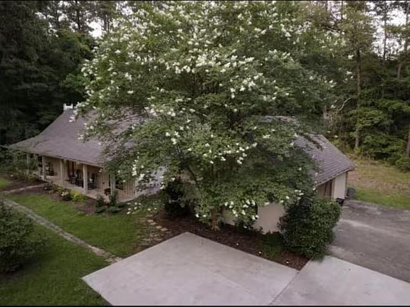 3rd image of 55 Wisteria Ln