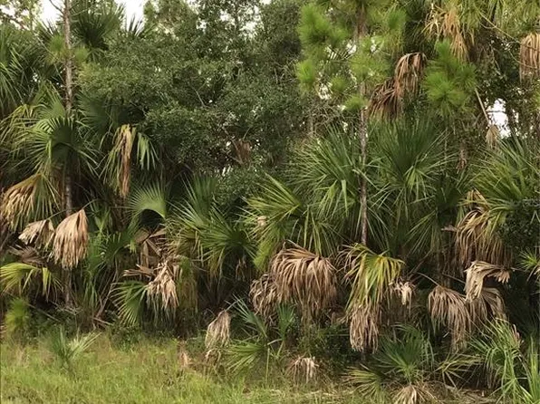 14202-M 14210 Hydrangea Ave #14218-14226, Pt Charlotte, FL 33953