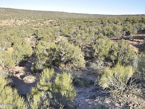 3rd image of 3687 Damron Valley Rd