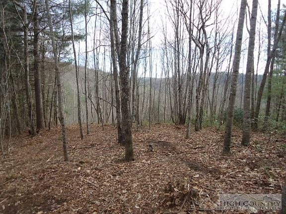 3rd image of Tbd Christmas Mountain Lane