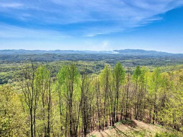 1234 Arrowhead Drive 45acre, Mineral Bluff, GA 30559