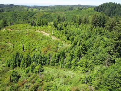 N Beaver Creek Rd, Seal Rock, OR, 97376