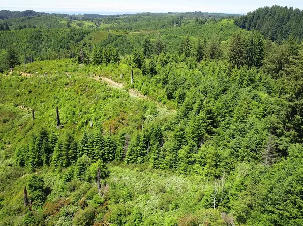 N Beaver Creek Rd, Seal Rock, OR 97376