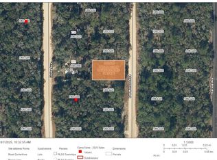 Del Monaco Ave LOT 28, Interlachen, FL 32148