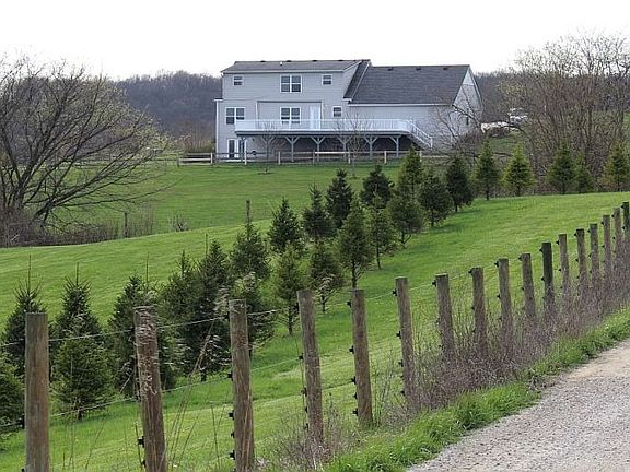 Back of house from neighbors