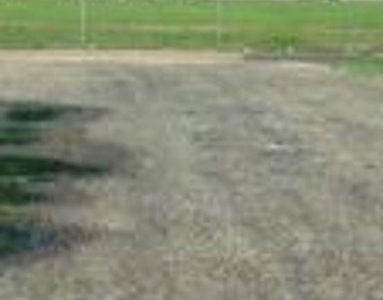 4th image of 810 Meadow Pl