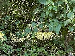 2nd image of Tract 1 Highway O