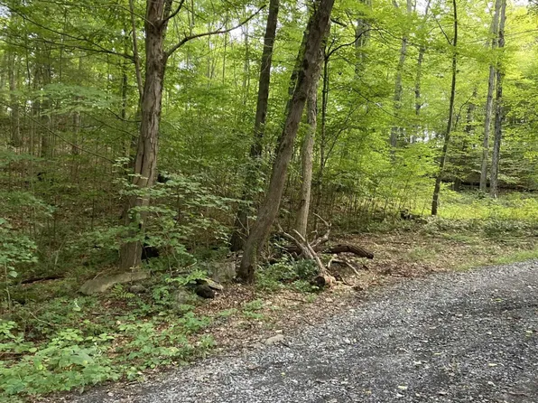 399 Floyd Ackert Road, Esopus, NY 12429