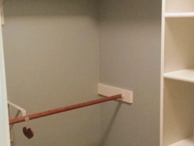 Master walk-in closet with multiple shelving areas