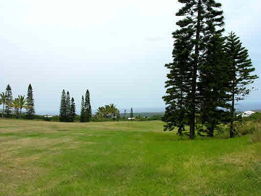 4th image of Kahiki And Haehae Lot 414