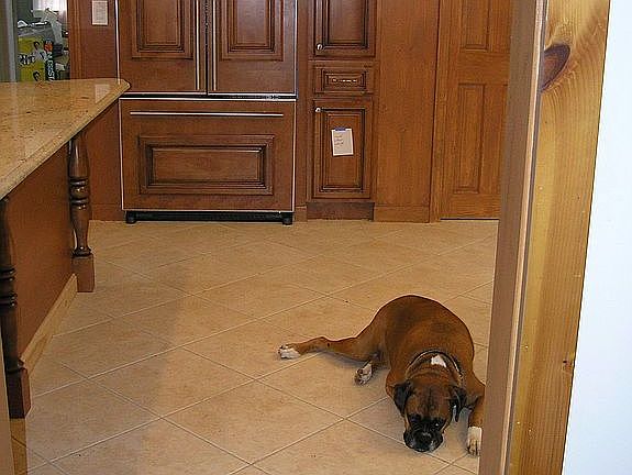 Ceramic floor & Fridg