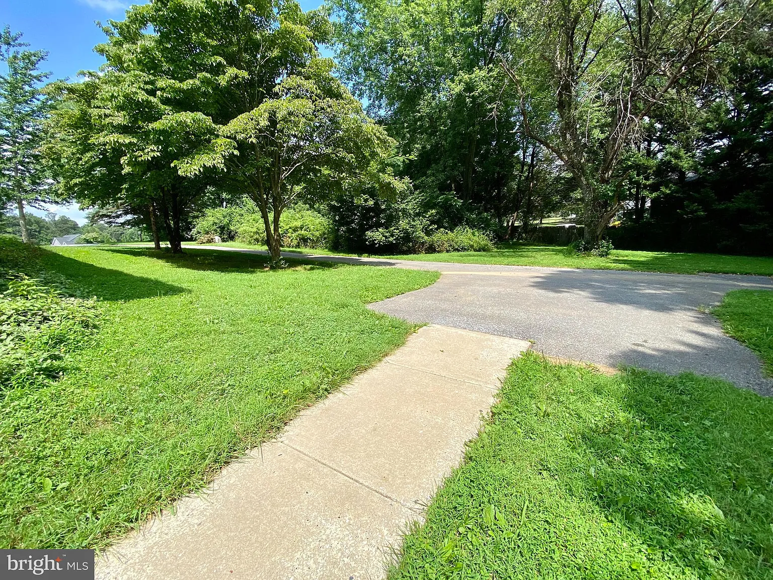 2 bed, 1.0 bath, 1000 sqft, $1,900 — Photo 3
