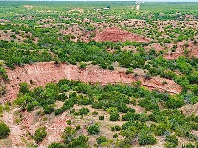 0 County Road 1274, Snyder, TX, 79549