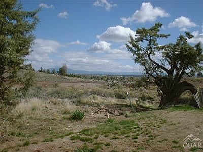 View from the backyard