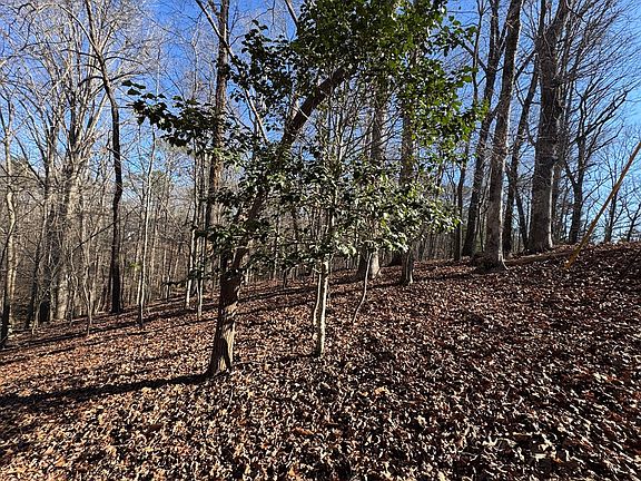 2nd image of 410 Zeblin Rd