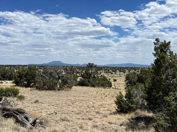Warpath Rd, Quemado, NM 87829