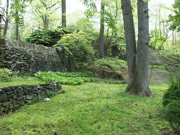 Large Back Yard