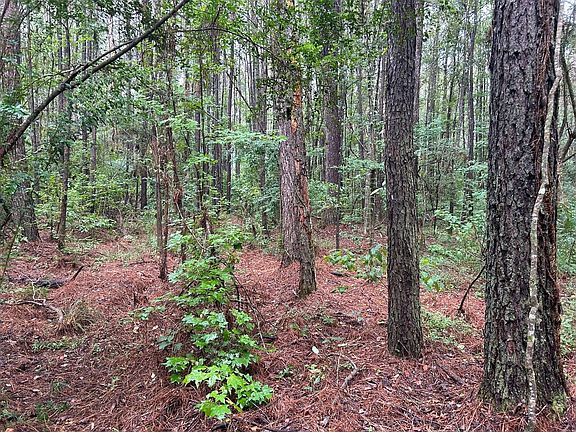 3rd image of Tbd Battle Rd