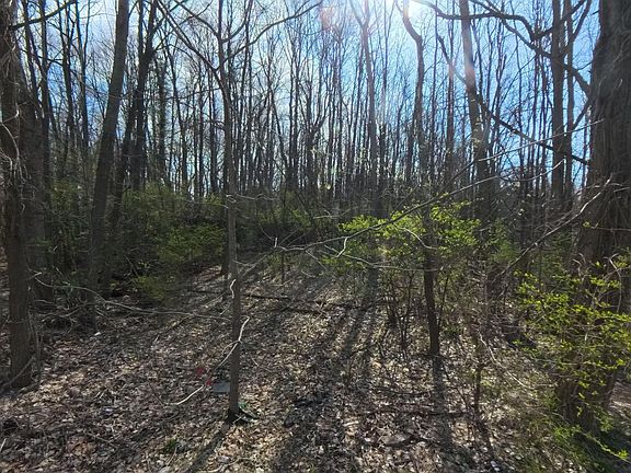 4th image of 2608 Emerson Forest Pkwy