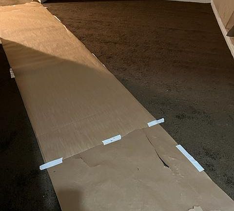 Living Room new carpet