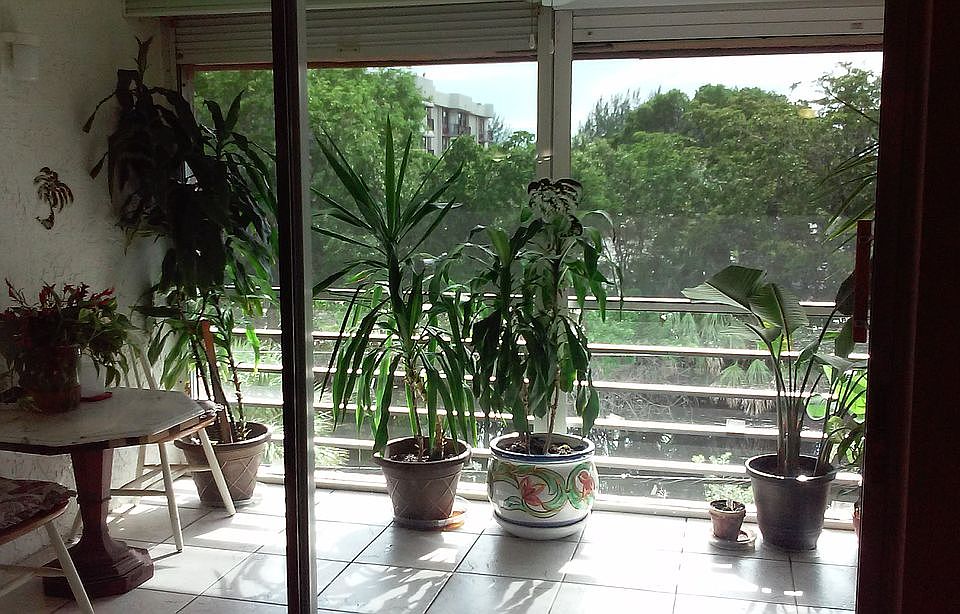Balcony view with canal view