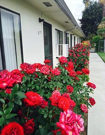 Apt entry - courtyard
