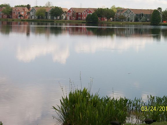 4th image of 9258 Lake Chase Island Way
