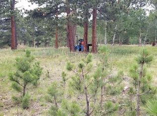 35 Columbine Rd, Bailey, CO 80421