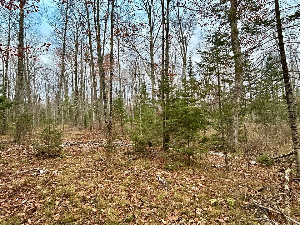 2nd image of LOT 1 Old Elcho Rd
