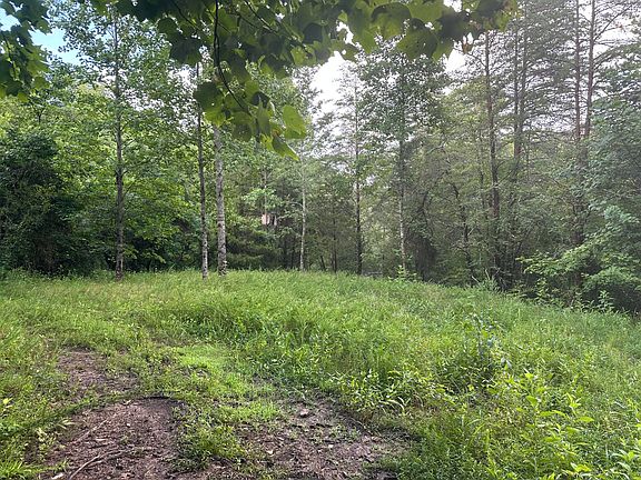 4th image of 0 Cannon Hollow Rd