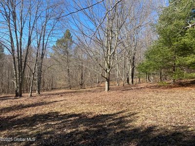 L21.1 Alder Pond Road, Andes, NY, 13731