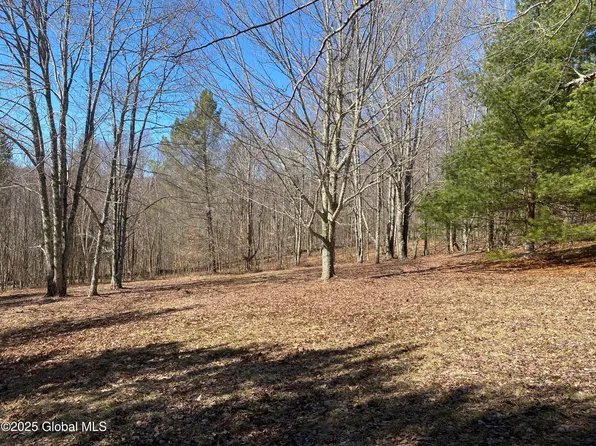 L21.1 Alder Pond Road, Andes, NY 13740