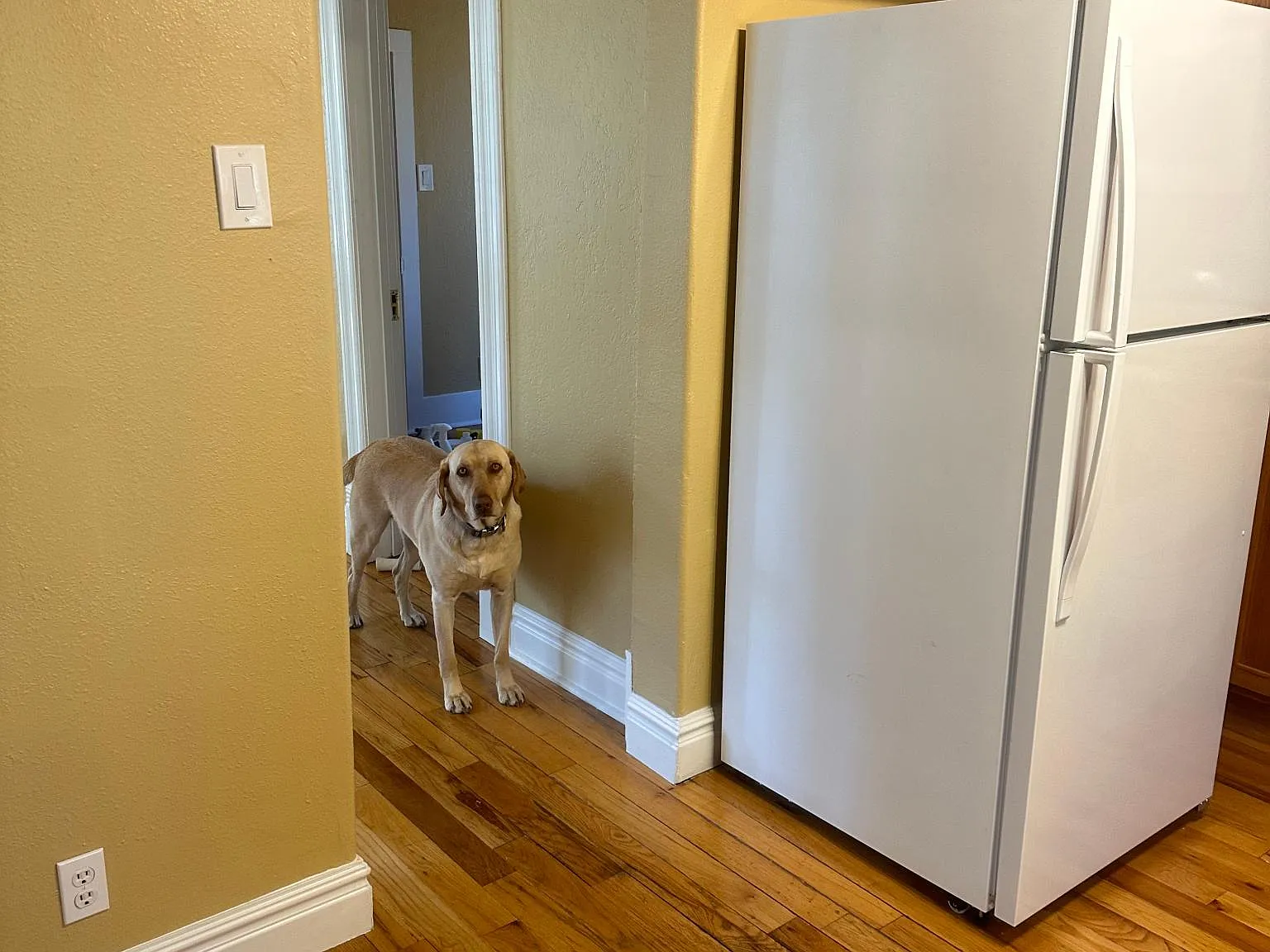 2 bed, 900 sqft, $1,200 — Photo 3