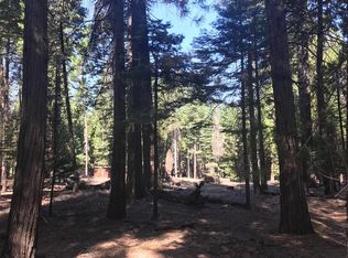 19301 Forest View Cir, Pioneer, CA 95666