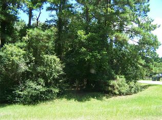 22802 Linden Ln, Magnolia, TX 77355