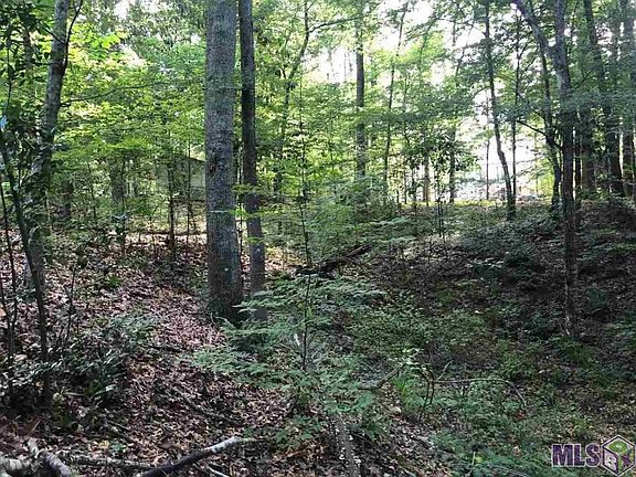 3rd image of 12647 Spartan Ln