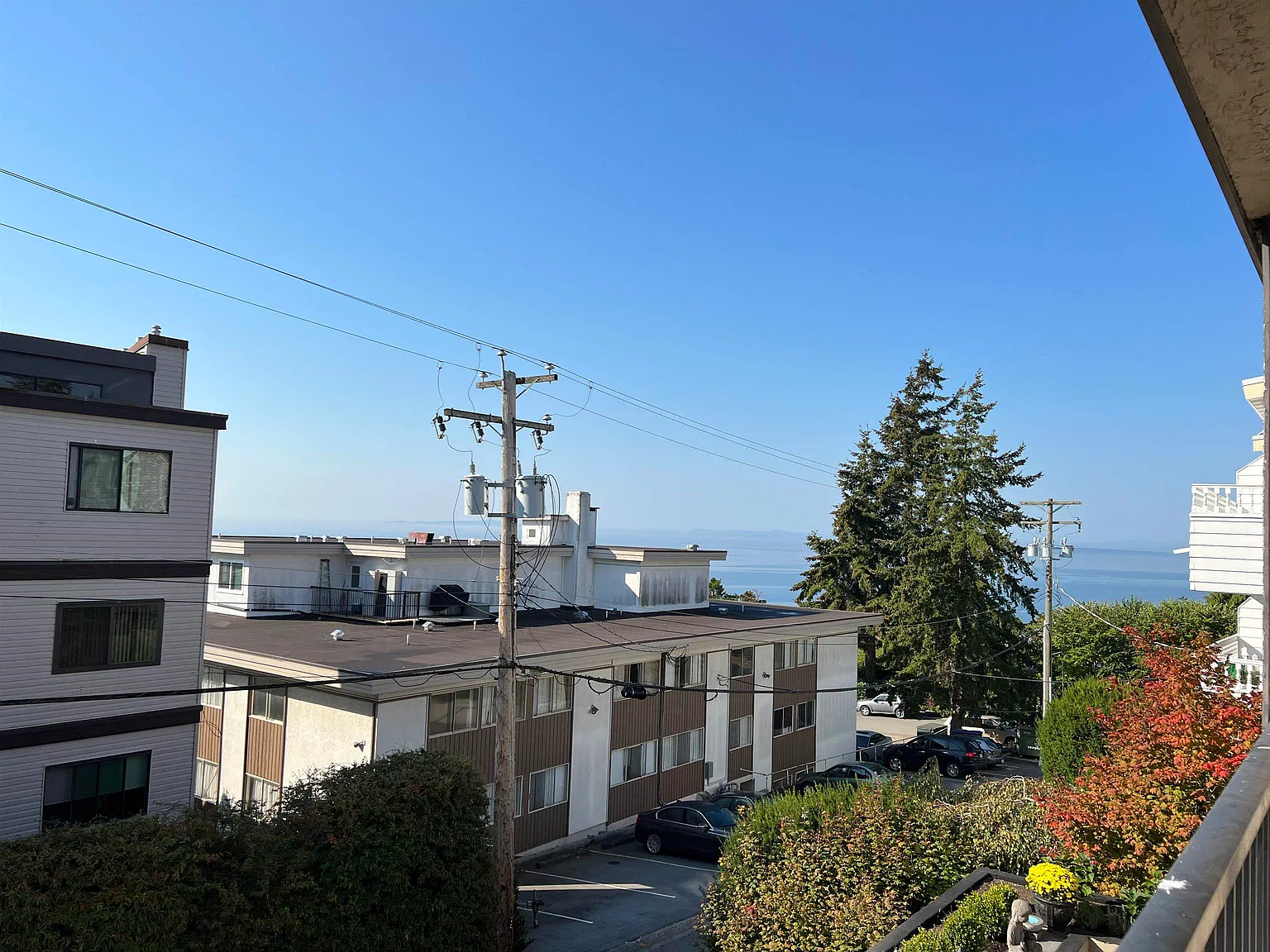 1 bed, 600 sqft, $1,600 — Photo 1
