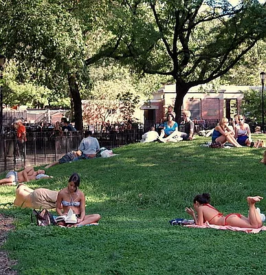 Rented by Camhi NYC Realty Inc | media 31