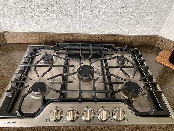 Professional cook top