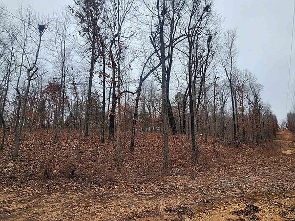 5th image of Woodcock Lane Ozark Acres